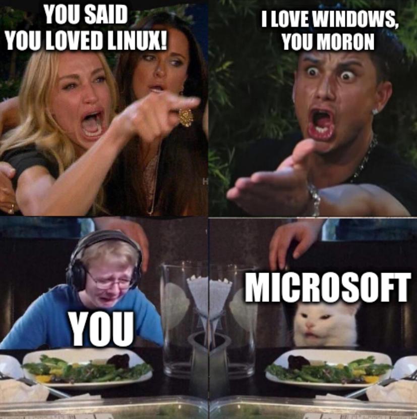 Four panel: Taylor Armstrong: You said you loved Linux! I love Windows, you moron; You and Microsoft