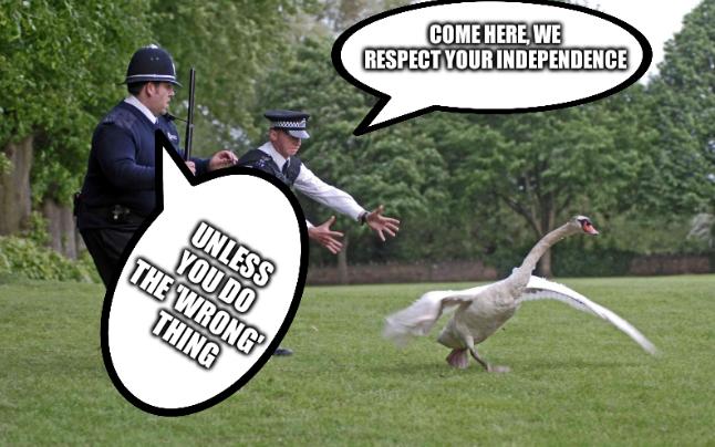 Cops and Swan/Goose: Come here, we respect your independence; unless you do the 'wrong' thing