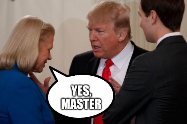 IBM: Yes, master