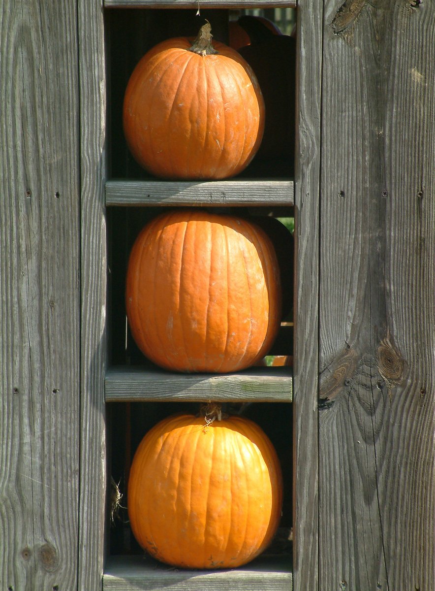 3 pumpkins