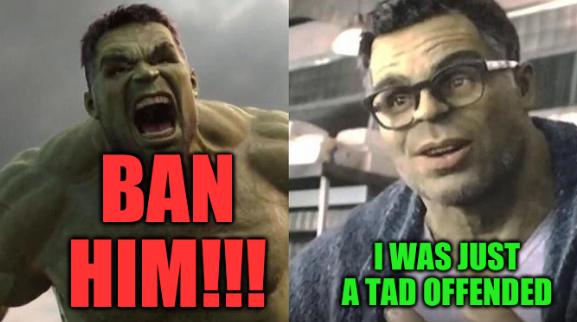 Brute hulk vs intellectual hulk: Ban him!!! I was just a tad offended