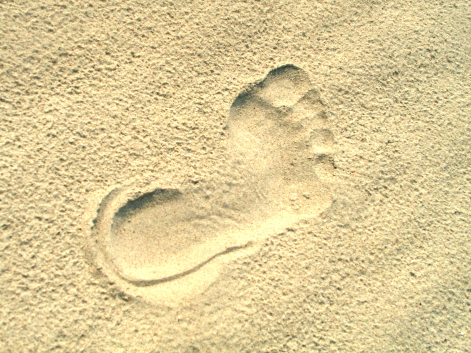 A foot mark