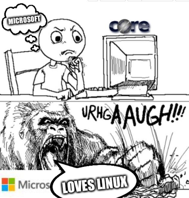 A gorilla smashes PC: Microsoft loves Linux