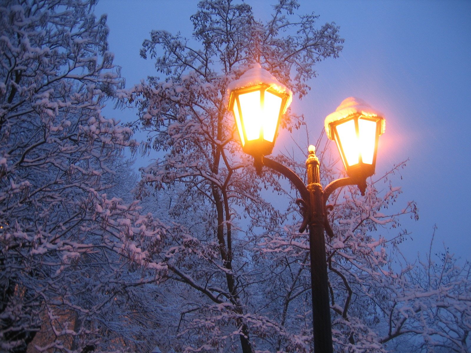 Lamps in winter