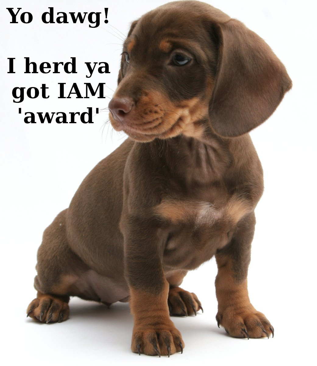 Young dachshund: Yo dawg! I herd ya got IAM 'award'