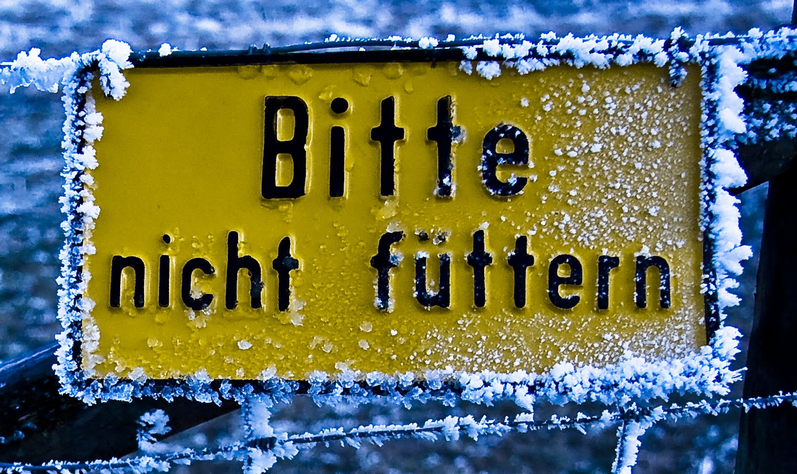 Ice-covered sign