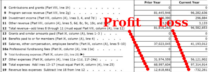 Linux Foundation losses