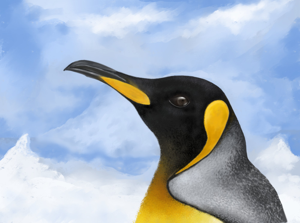 A king penguin by Mogz