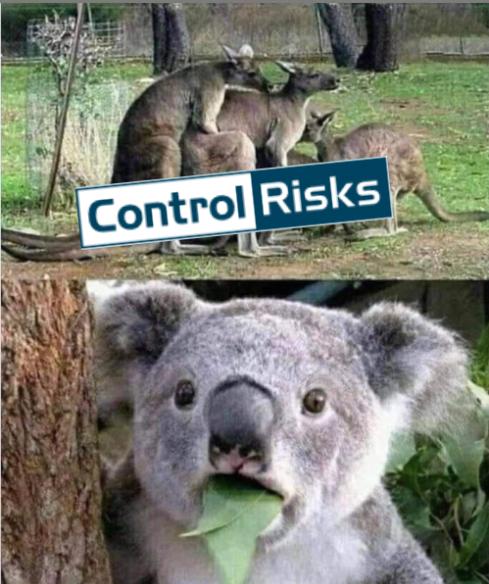 Control Risks