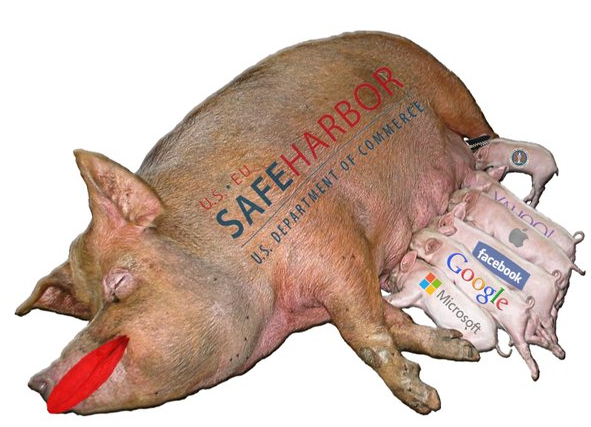 Safe Harbour pig