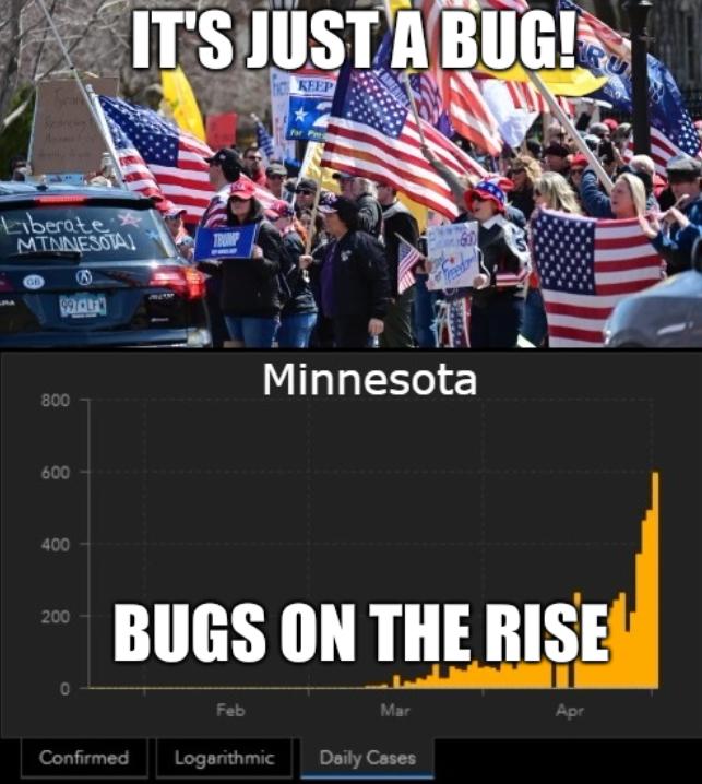 It's just a bug! And bugs on the rise