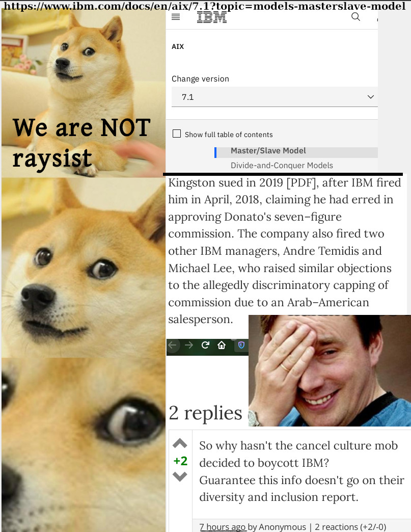 IBM: We are NOT raysist