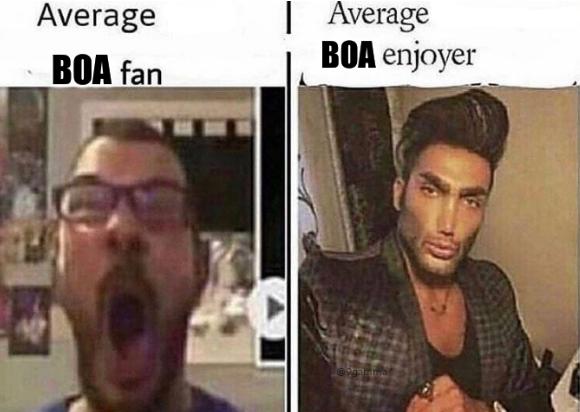 BoA fan