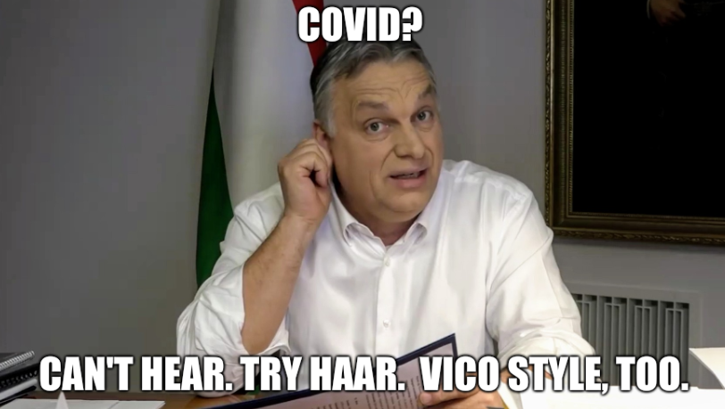 COVID? Can't hear. Try Haar.  ViCo style, too.