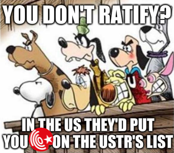 You don't ratify? In the US They'd put you on on the USTR's list