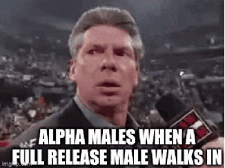The alpha male