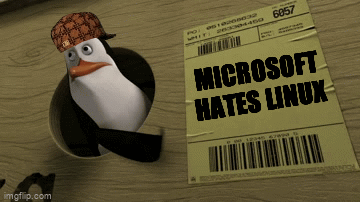 Microsoft hates Linux