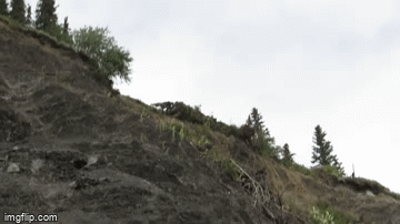 Car drives off of cliff: See? This car is shit!