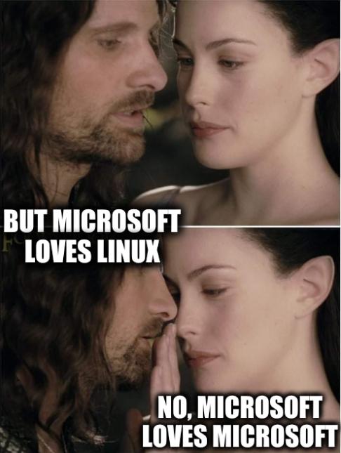 But Microsoft loves Linux; No, Microsoft loves Microsoft
