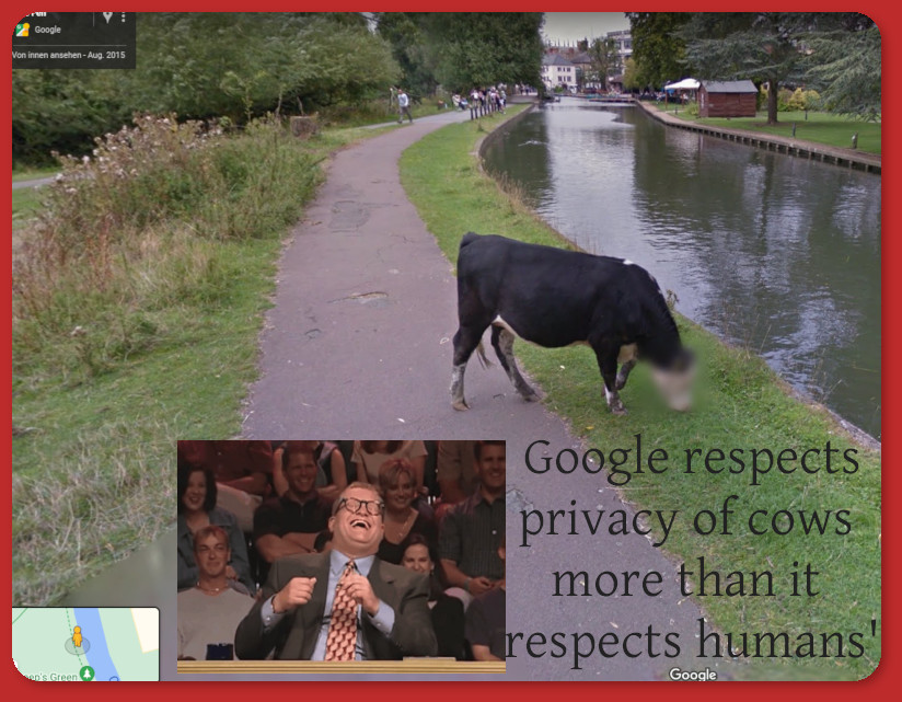 Google respects privacy of cows more than it respects humans'