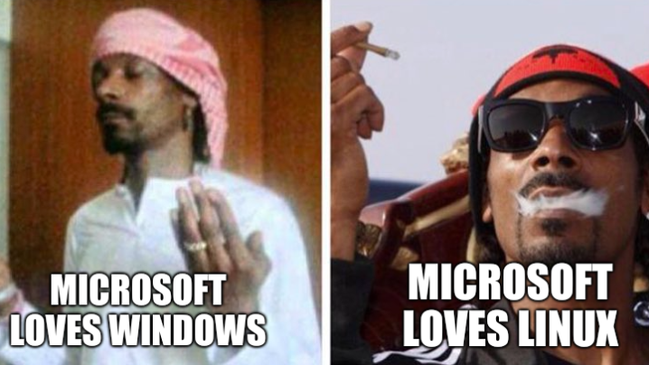 Microsoft loves Windows; Microsoft loves Linux