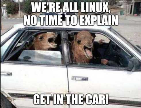We're all Linux, no time to explain; Get in the car!