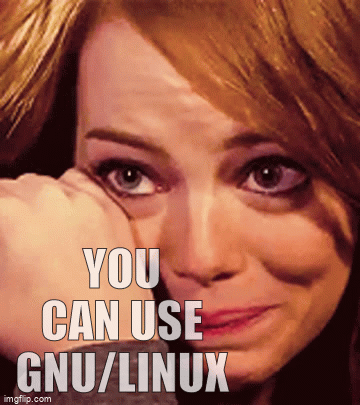 You can use GNU/Linux Without Microsoft systemd; After all...