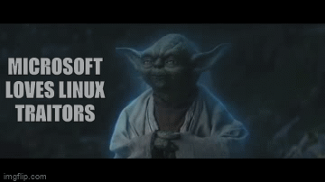 Microsoft loves Linux Traitors; backstabbers? Yes!