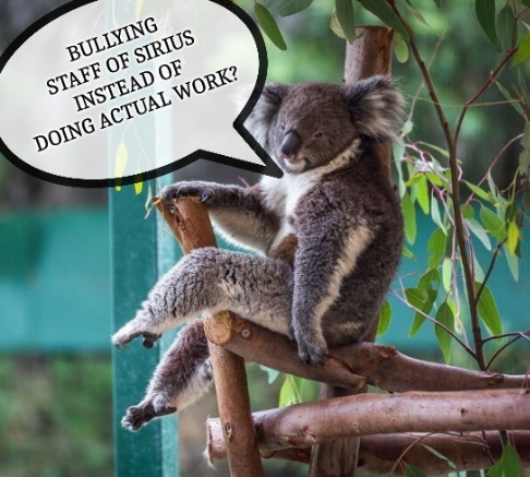 A koala model bullied: Bullying staff of Sirius instead of doing actual work?