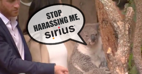 Stop harassing me, Sirius