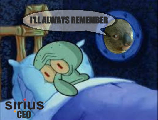 Sirius UK CEO, Andrew Bucknor; Koala: I'll always remember