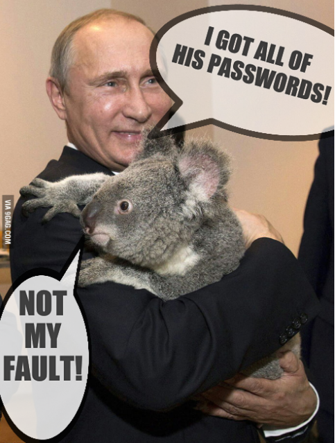 Putin koala: I got all of his passwords! Not my fault!