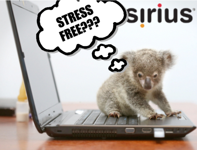 The koala computer: Stress free???