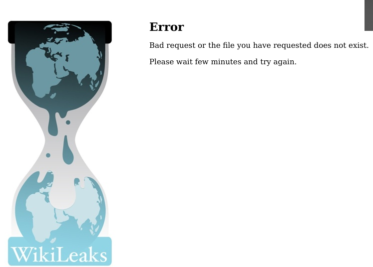Wikileaks error