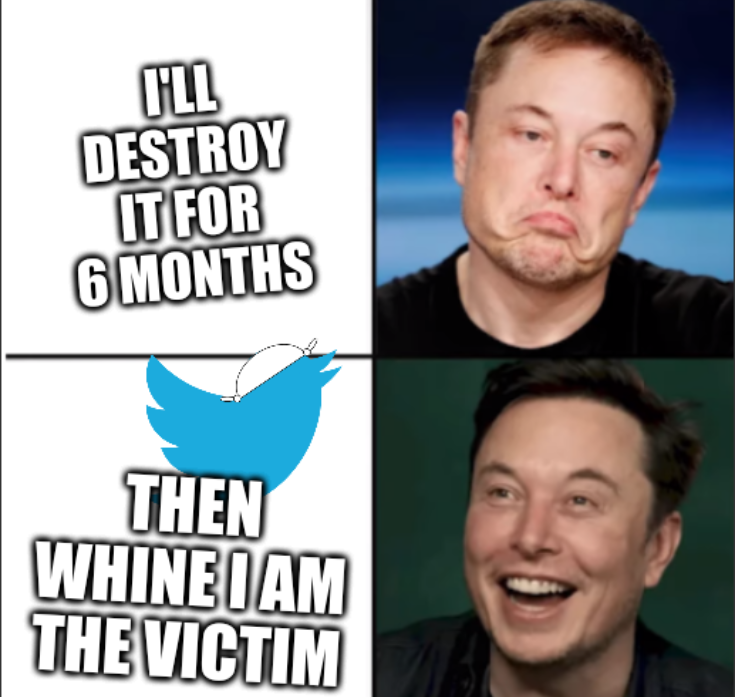 Elon approves: I'll destroy it for 6 months; Then whine I am the victim