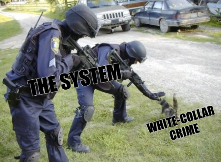 White-collar crime; The system