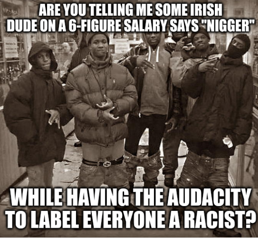Are you telling me some Irish dude on a 6-figure salary says 'nigger'; While having the audacity to label everyone a racist?