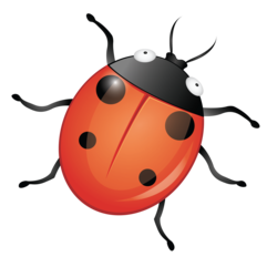 Ladybug Cartoon