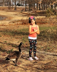 Little Girl Afraid Of Goose