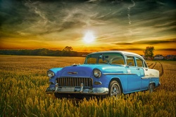 A vintage car from Cuba in a grain field at sunset