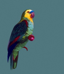 Amazon parrot painting