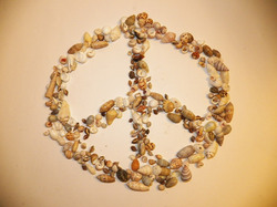 Photo of a peace sign made from seashells