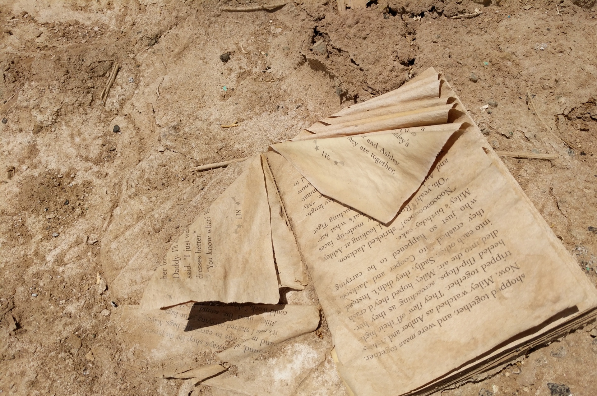 Old ruined book decayed by sun