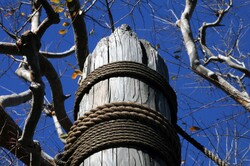 Looking upwards into a bright blue sky is an old dock post wrapped with rope