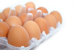 Eggs isolated on white background