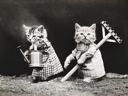 Public domain 1900 vintage photo of two kittens, cats dressed in human situation