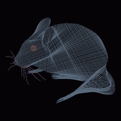 Mouse mesh drawing