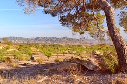 Photograph of Spanish Landscape in the Murcia region of Spain