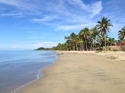 Fiji Beach Landscape