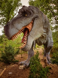 Tyrannosaurus Rex in woods